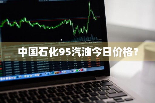 中国石化95汽油今日价格？