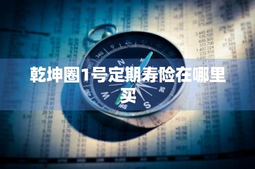 乾坤圈1号定期寿险在哪里买