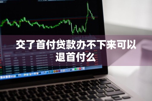 交了首付贷款办不下来可以退首付么