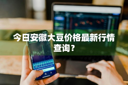 今日安徽大豆价格最新行情查询？