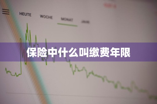 保险中什么叫缴费年限