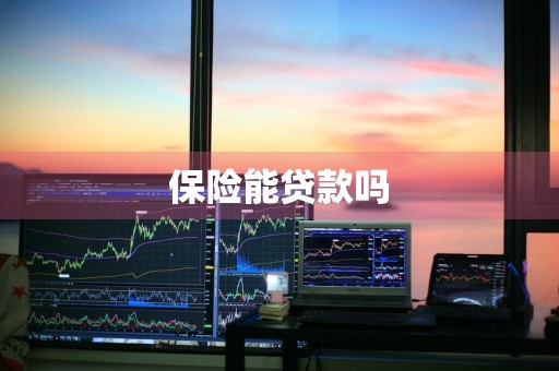 保险能贷款吗