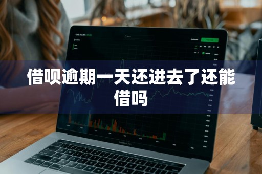 借呗逾期一天还进去了还能借吗