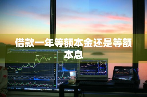 借款一年等额本金还是等额本息