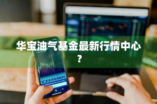 华宝油气基金最新行情中心？