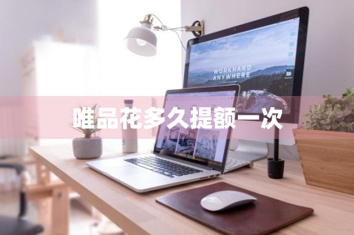 唯品花多久提额一次