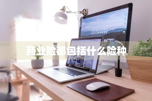 商业险都包括什么险种