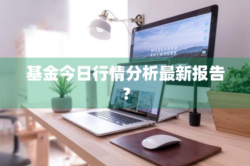 基金今日行情分析最新报告？
