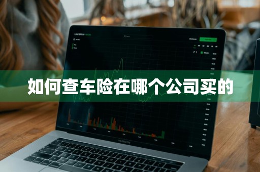 如何查车险在哪个公司买的