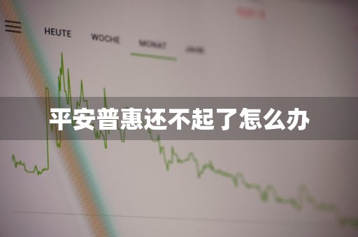平安普惠还不起了怎么办