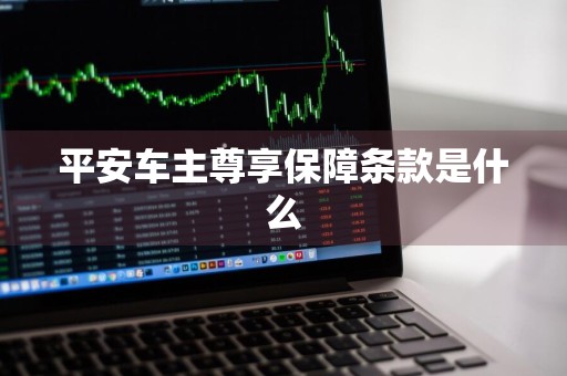 平安车主尊享保障条款是什么