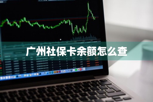 广州社保卡余额怎么查