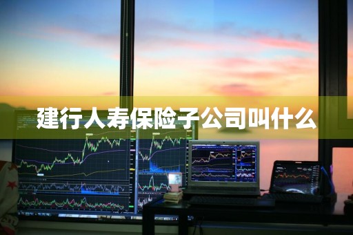 建行人寿保险子公司叫什么