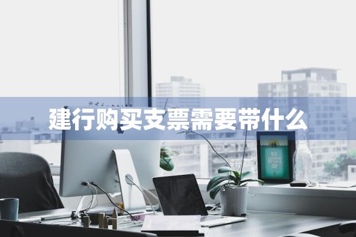 建行购买支票需要带什么
