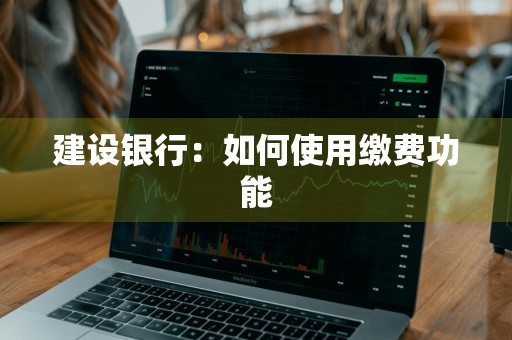 建设银行：如何使用缴费功能
