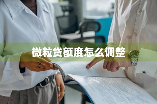 微粒贷额度怎么调整