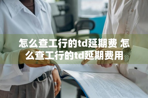 怎么查工行的td延期费 怎么查工行的td延期费用