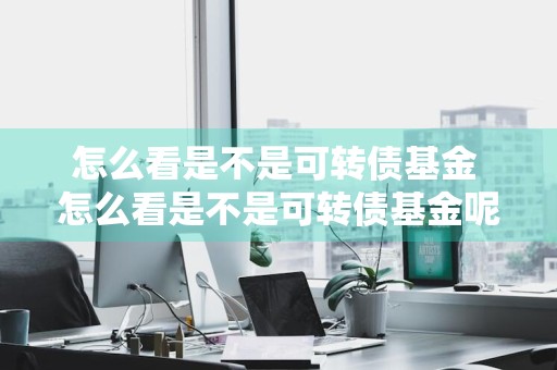 怎么看是不是可转债基金 怎么看是不是可转债基金呢