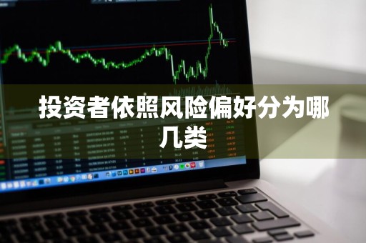 投资者依照风险偏好分为哪几类
