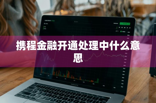 携程金融开通处理中什么意思