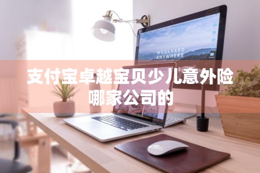 支付宝卓越宝贝少儿意外险哪家公司的