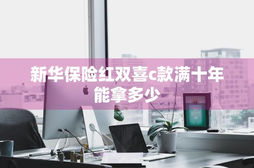 新华保险红双喜c款满十年能拿多少