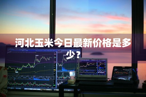 河北玉米今日最新价格是多少？