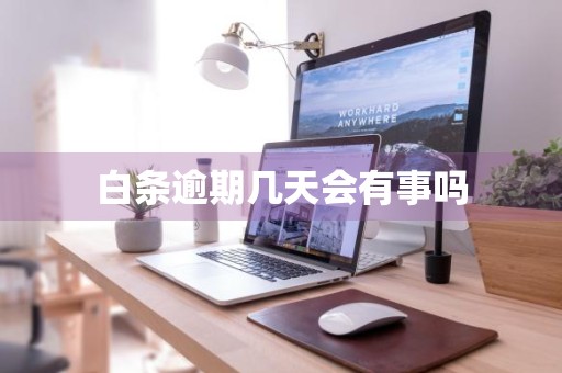白条逾期几天会有事吗