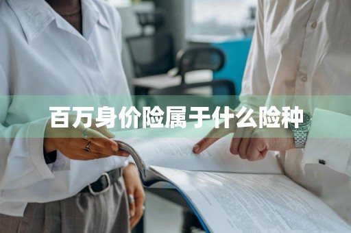 百万身价险属于什么险种