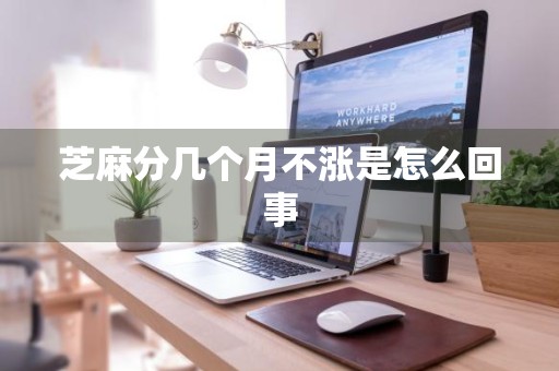 芝麻分几个月不涨是怎么回事