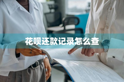 花呗还款记录怎么查