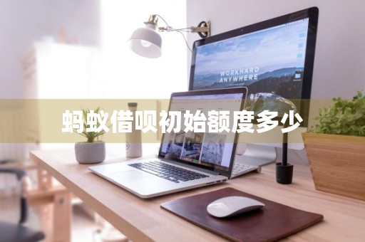 蚂蚁借呗初始额度多少