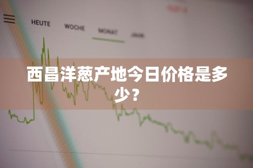 西昌洋葱产地今日价格是多少？