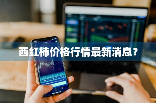 西红柿价格行情最新消息？