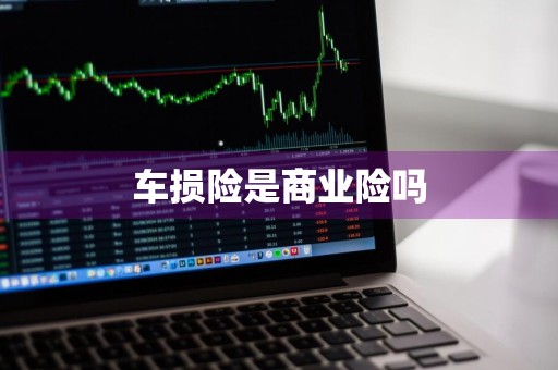 车损险是商业险吗