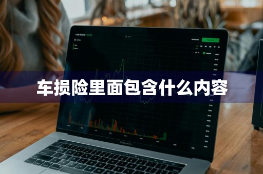 车损险里面包含什么内容