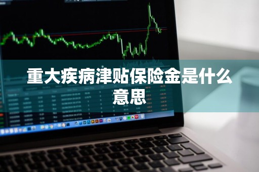重大疾病津贴保险金是什么意思