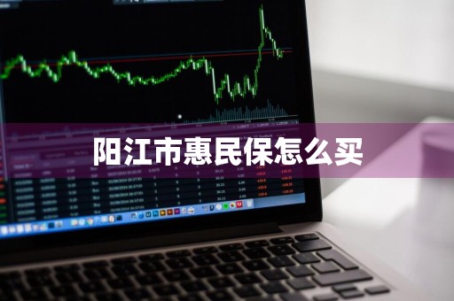 阳江市惠民保怎么买