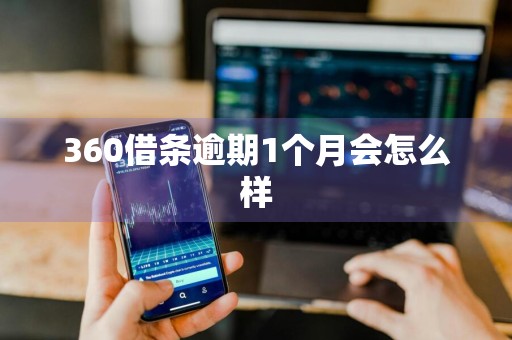 360借条逾期1个月会怎么样